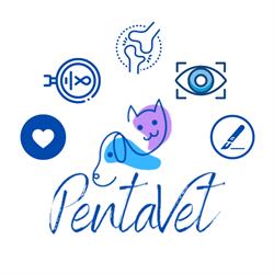 PentaVet Perugia, Ponte Felcino - Orari di apertura