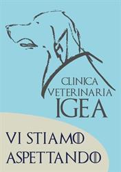 Clinica Veterinaria Igea, Villa San Giovanni orari di apertura