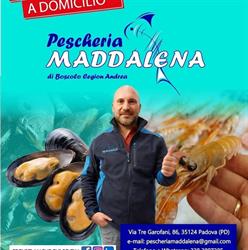 Pescheria Maddalena, Padova orari di apertura