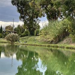 LAGO CEDRI, Lapedona orari di apertura
