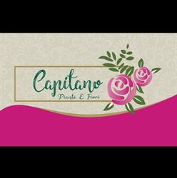 Capitano piante e fiori, Palermo orari di apertura