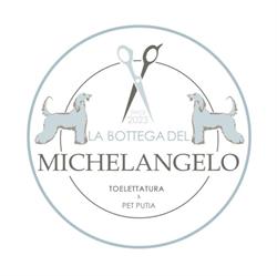 La bottega del Michelangelo, Marsala orari di apertura
