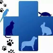 Ambulatorio Veterinario 'Pegaso' Dott. Di Maria Salvatore, Siracusa orari di apertura