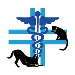 Ambulatorio veterinario Le Isole Erice, Casa Santa - Orari di apertura