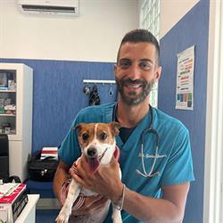 Centro Veterinario Pio Decimo, Giugliano in Campania orari di apertura