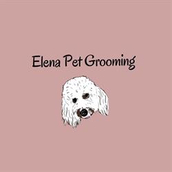 Elena Pet Grooming, Civitavecchia orari di apertura