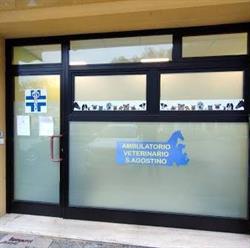 Veterinario Ambulatorio Vicenza Sant'Agostino, Arcugnano orari di apertura