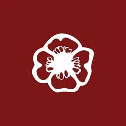 Al Chile Italia, Torino orari di apertura