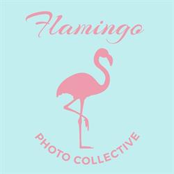 Flamingo Photo Collective, Bari orari di apertura
