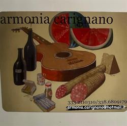 Armonia Carignano, orari di apertura