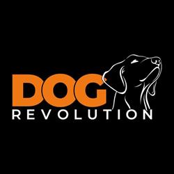 Centro Cinofilo - Dog Revolution, Latina orari di apertura