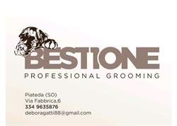 Best1one professional grooming, Piateda orari di apertura