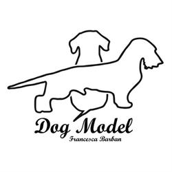 DOG MODEL, Albisola Superiore orari di apertura