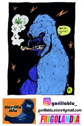 Gorilla Blu, Roma orari di apertura