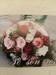 Se Son Rose., Ventimiglia orari di apertura