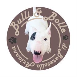 Bulli&Bolle di Baretella Arianna, Pojana Maggiore orari di apertura