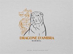 Allevamento Dragone d'Ambra, Alatri orari di apertura