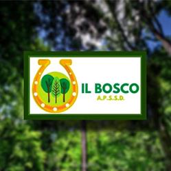 IL BOSCO APSSD Terre del Reno, Sant'agostino - Orari di apertura