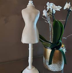 La bottega di Angela, Piazza Brembana orari di apertura