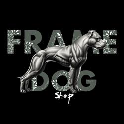 Framedog shop, San Martino in Strada orari di apertura