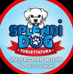 Splendidog Bari, orari di apertura