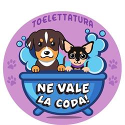 NE VALE La CODA, Beinasco orari di apertura