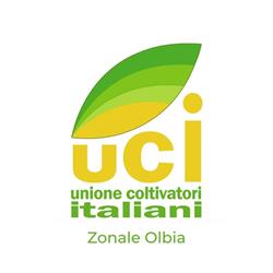 CAF UCI - Zonale Olbia, orari di apertura