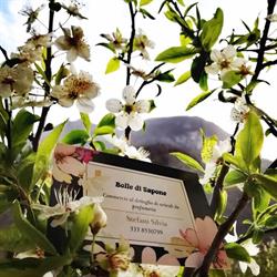 Bolle di Sapone, Asiago orari di apertura