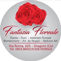Fantasia Floreale, Dragoni orari di apertura