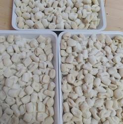 La Bontà della pasta fresca, Veglie orari di apertura