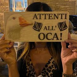 Le Oche Dog Park ASD, Valenza orari di apertura