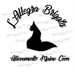 L'allegra brigata cattery maine coon, Gaggiano orari di apertura