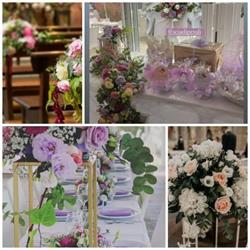 Scia Di Petali, Anzio orari di apertura
