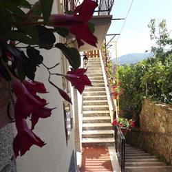 Casa Vacanze Alessia Pizza, Rutino orari di apertura
