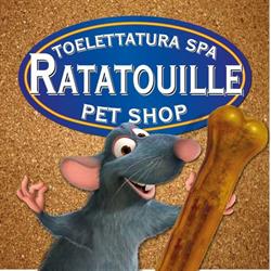 Toelettatura spa ratatouille pet shop Palermo, orari di apertura