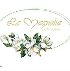 La Magnolia, Carmagnola orari di apertura