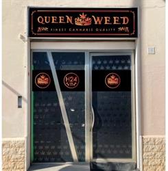 Queen of Weed H24 negozio cbd canapa light cannabis legale, Cecina orari di apertura