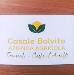 Azienda agricola casale bolvito, Tramonti orari di apertura