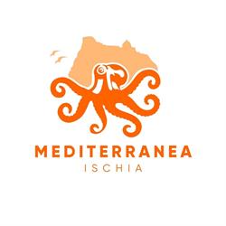 Mediterranea Ischia, Ischia Porto orari di apertura