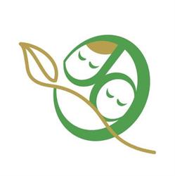 Bimbi Green, Trento orari di apertura