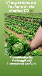 L'orto dietro casa, Taviano orari di apertura
