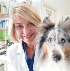Ambulatorio Veterinario Gottaldi, Latina orari di apertura