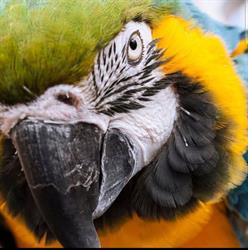 HOBBY ZOO, Sava orari di apertura