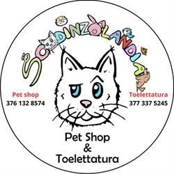 Scodinzolandia Pet Shop e Toelettatura, Bagnolo in Piano orari di apertura