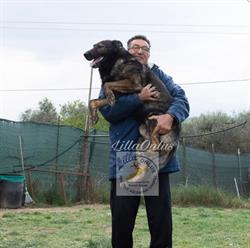 Lilla Onlus, Guidonia orari di apertura