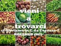 L'Orto Delle 4 Stagioni, Rosarno orari di apertura