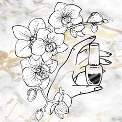 Orchidea Nail Art, Porlezza orari di apertura