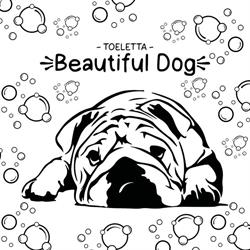 Beautiful dog, Volla orari di apertura