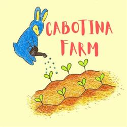 Cabotina Farm, Triora orari di apertura