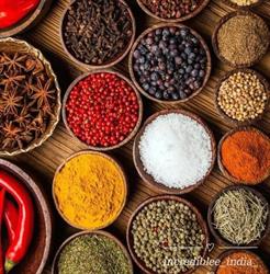 Punjab Alimentari, Casalpusterlengo orari di apertura